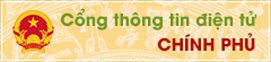 Cổng thông tin điện tử chính phủ